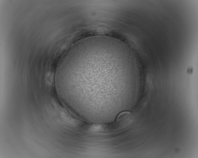 X0000112920177200909080942