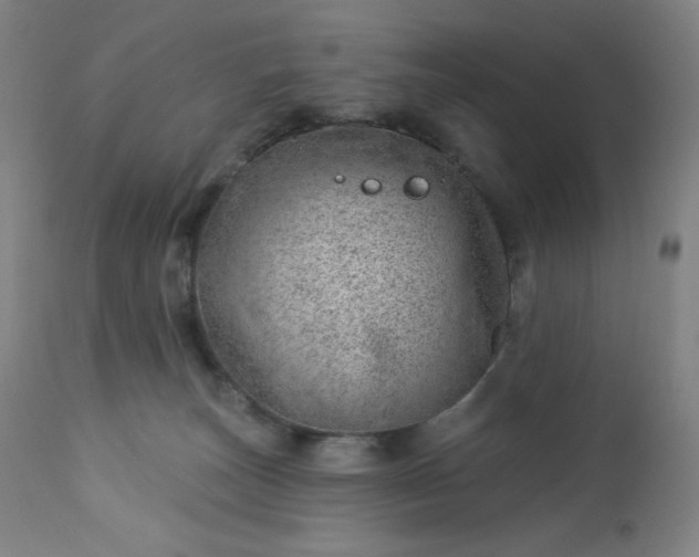 X0000112920179200909080942