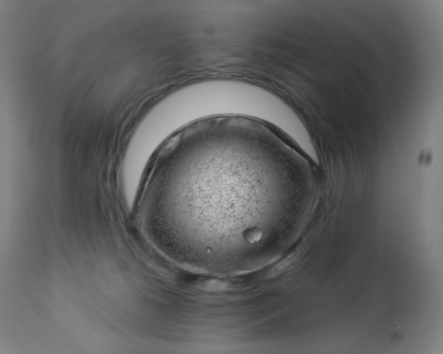 X0000112920180200909080942