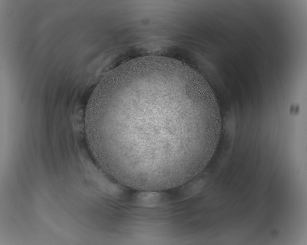 X0000112920181200909080942