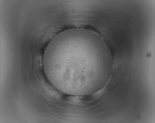 X0000112920182200909080942