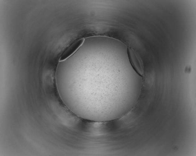 X0000112920184200909080942