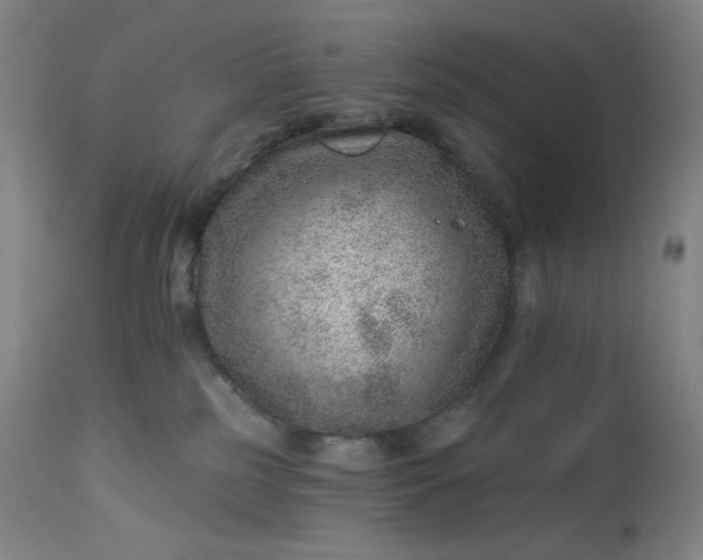 X0000112920185200909080942