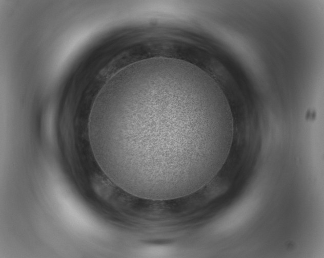 X0000112920189200909080942