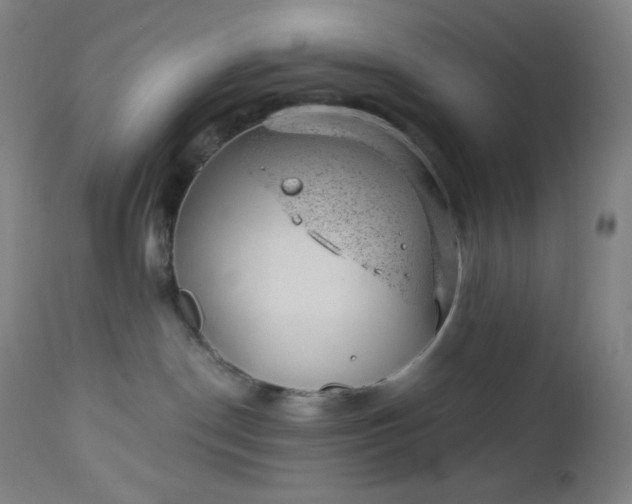 X0000112920190200909080942