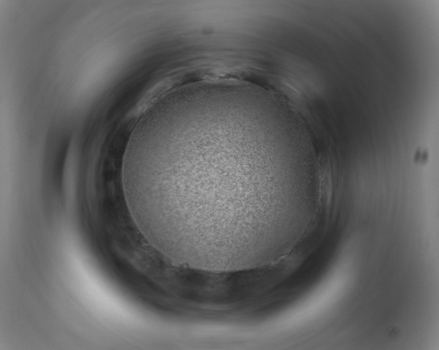 X0000112920191200909080942
