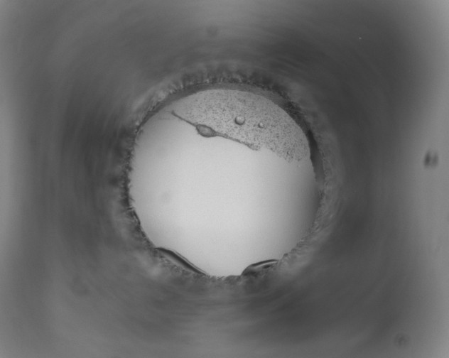 X0000112920192200909080942