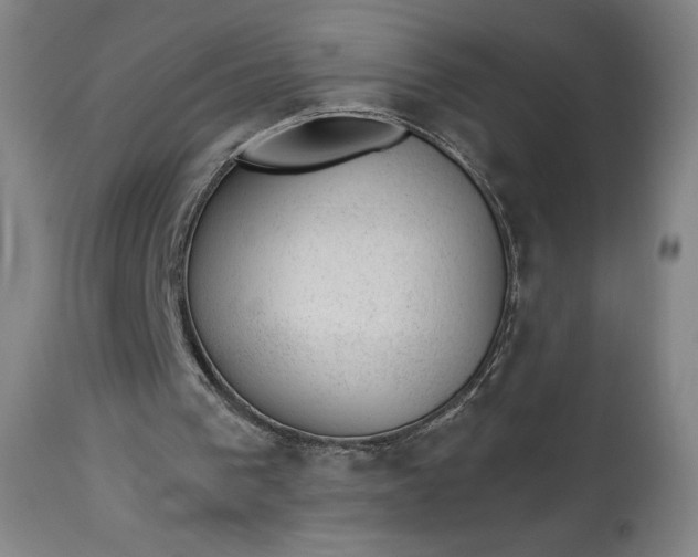 X0000112920193200909080942