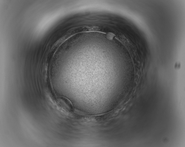 X0000112920194200909080942