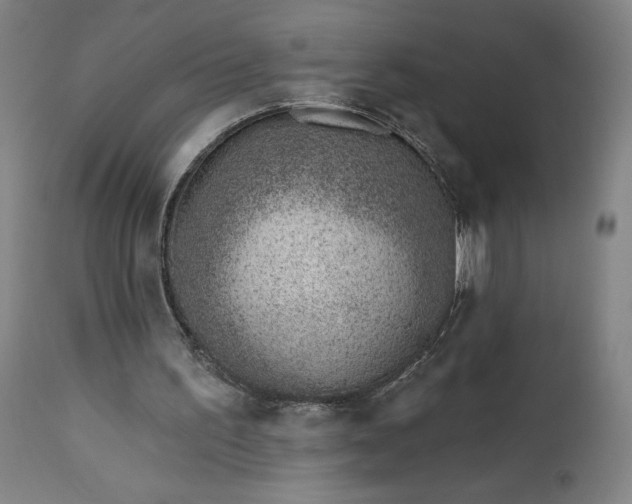 X0000112920195200909080942