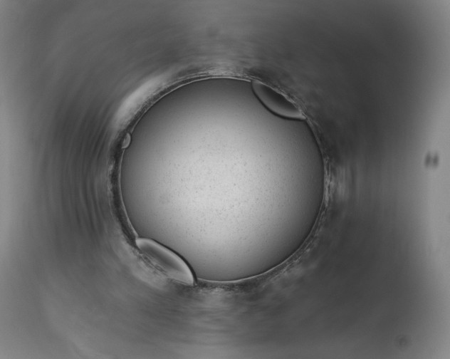 X0000112920197200909080941