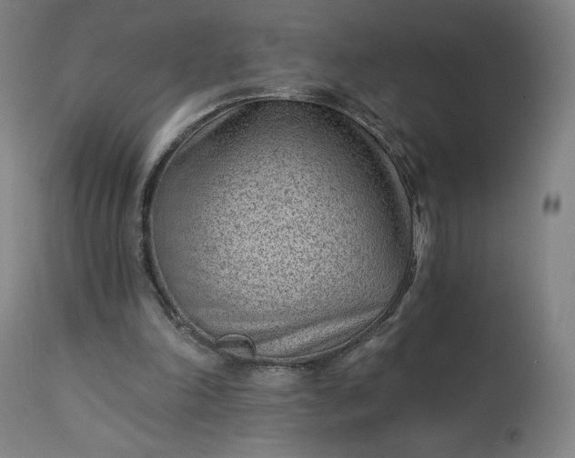X0000112920198200909080941