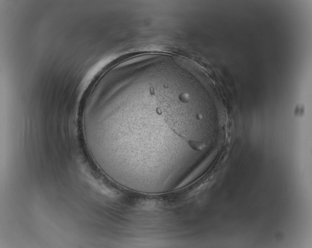 X0000112920200200909080941