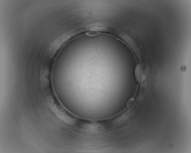 X0000112920201200909080941