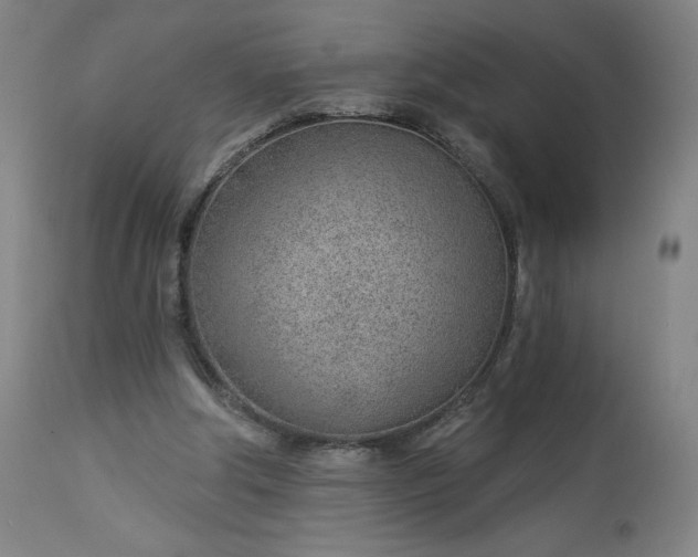 X0000112920202200909080941