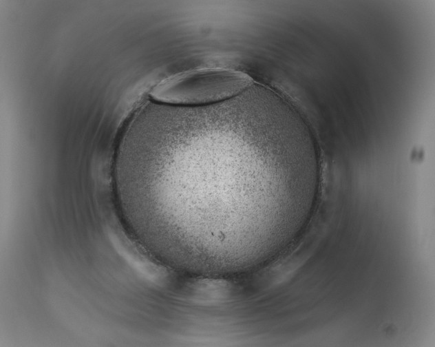 X0000112920203200909080941