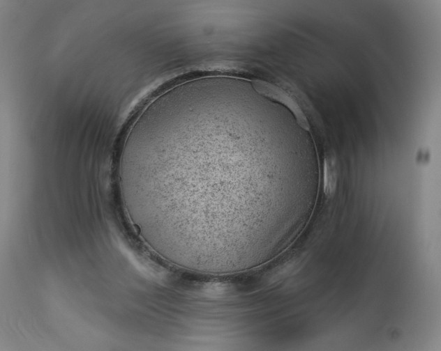 X0000112920204200909080941