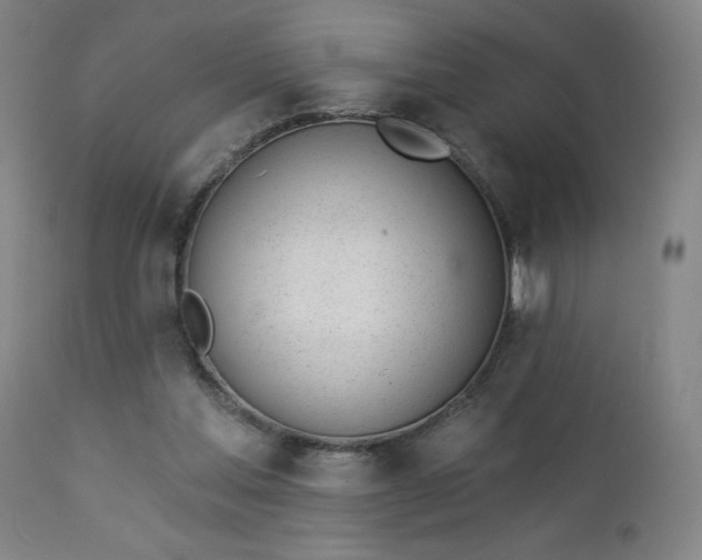 X0000112920205200909080941