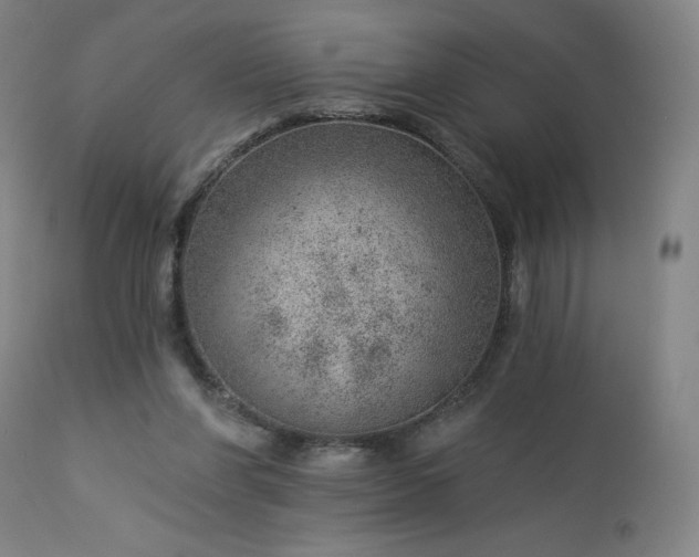 X0000112920206200909080941