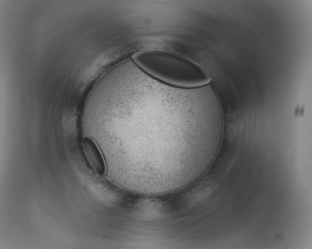 X0000112920207200909080941