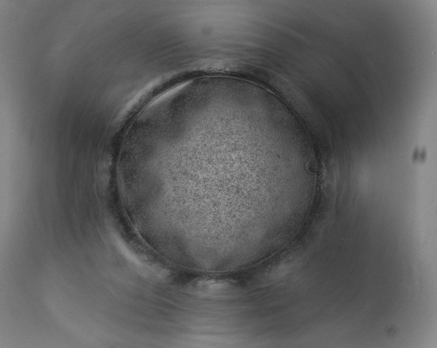 X0000112920208200909080941