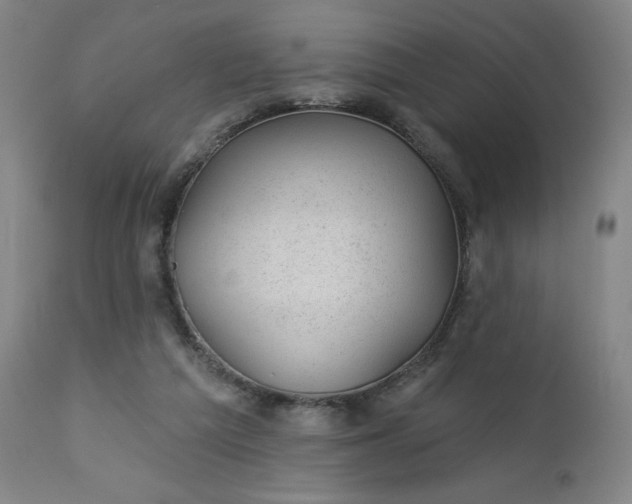 X0000112920209200909080941