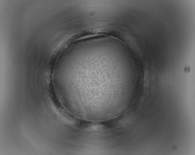 X0000112920210200909080941