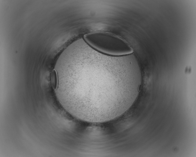 X0000112920211200909080941