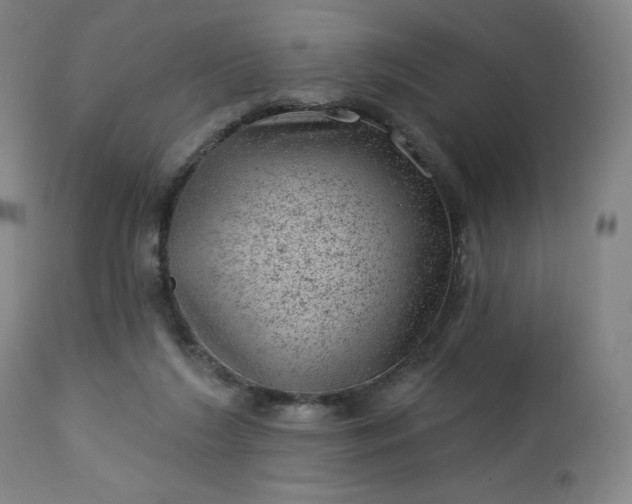 X0000112920212200909080941