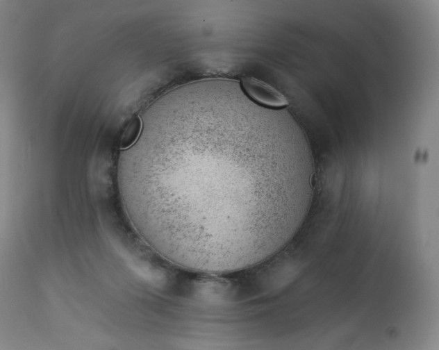 X0000112920215200909080941
