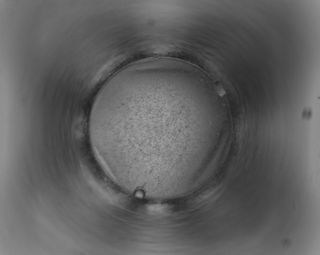 X0000112920216200909080941