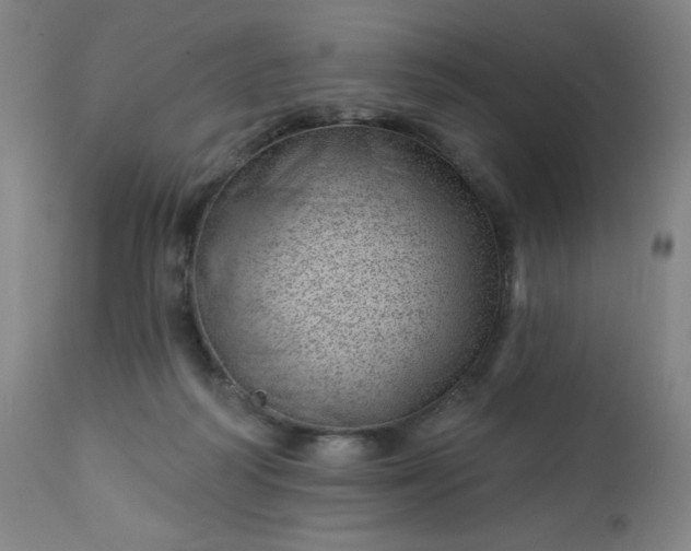 X0000112920218200909080941