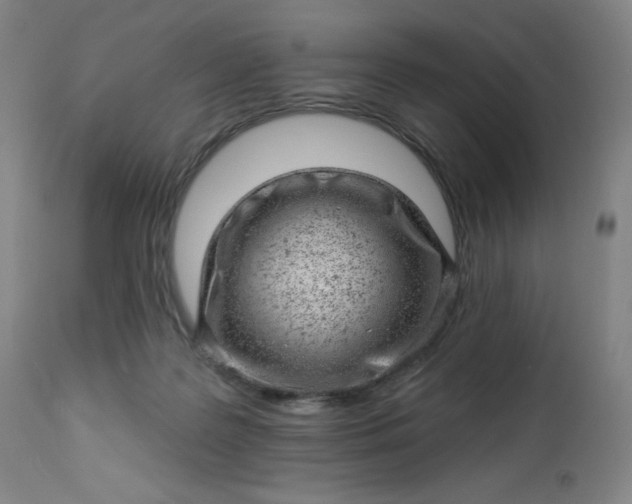 X0000112920219200909080941