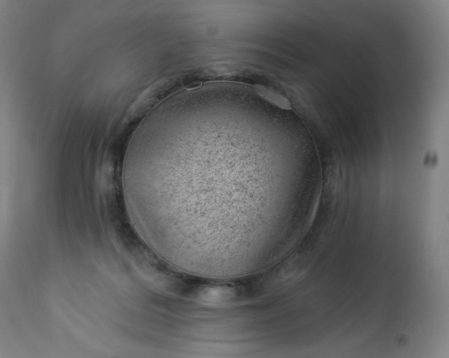 X0000112920220200909080941