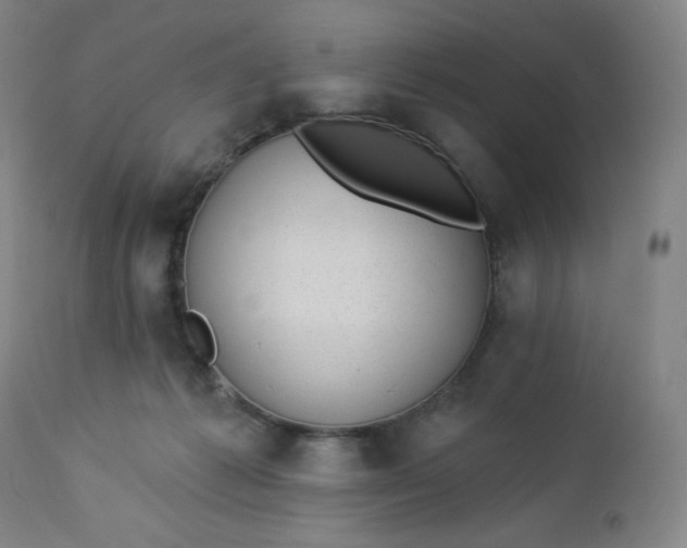 X0000112920221200909080941