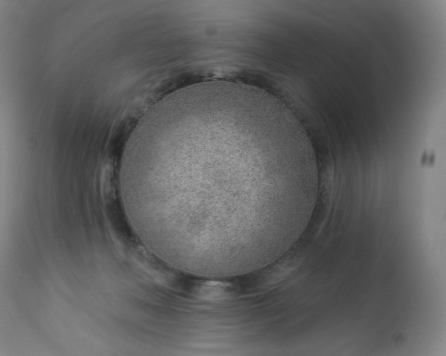 X0000112920222200909080941