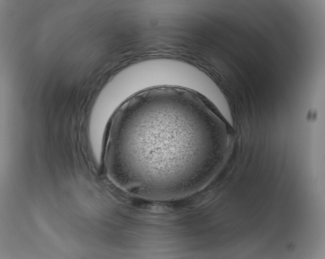 X0000112920223200909080941