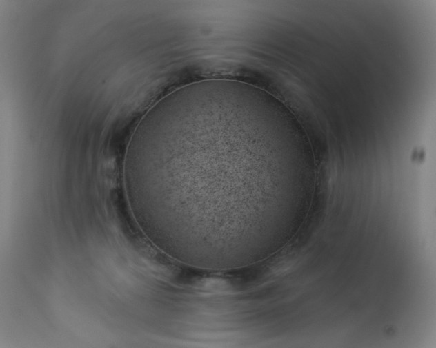 X0000112920224200909080941