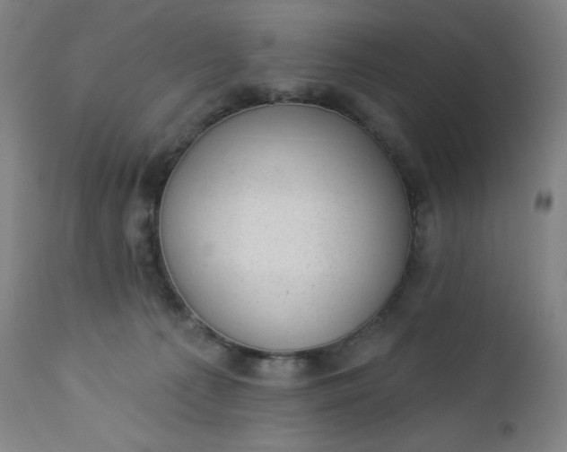 X0000112920225200909080941