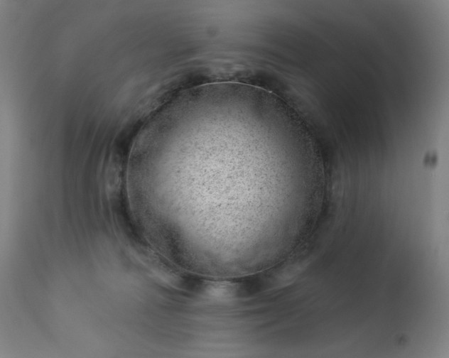 X0000112920226200909080941