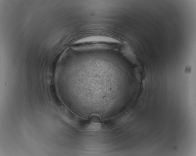 X0000112920227200909080941