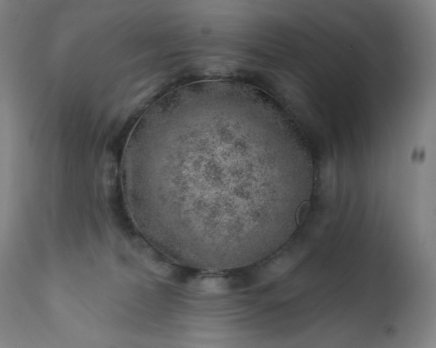 X0000112920228200909080941