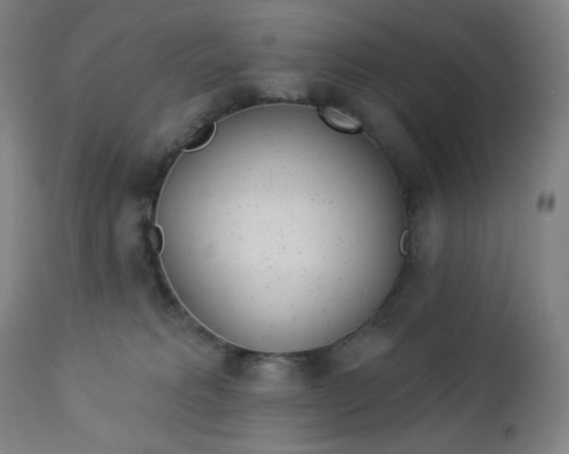 X0000112920229200909080941