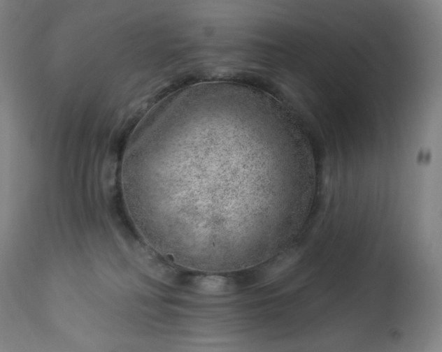 X0000112920230200909080941