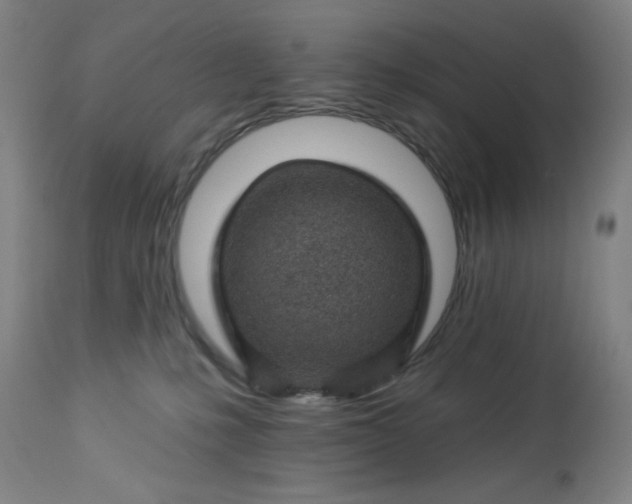 X0000112920231200909080941