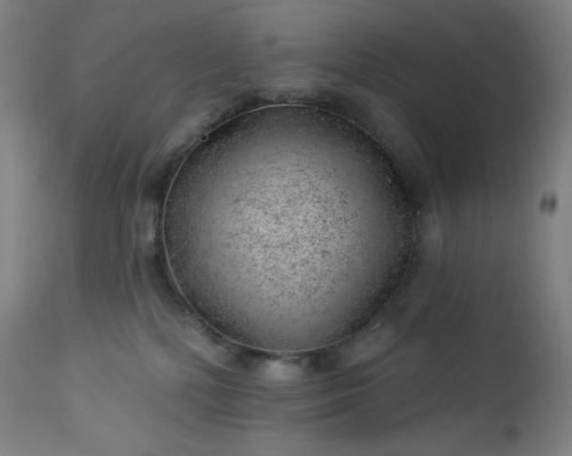 X0000112920232200909080941