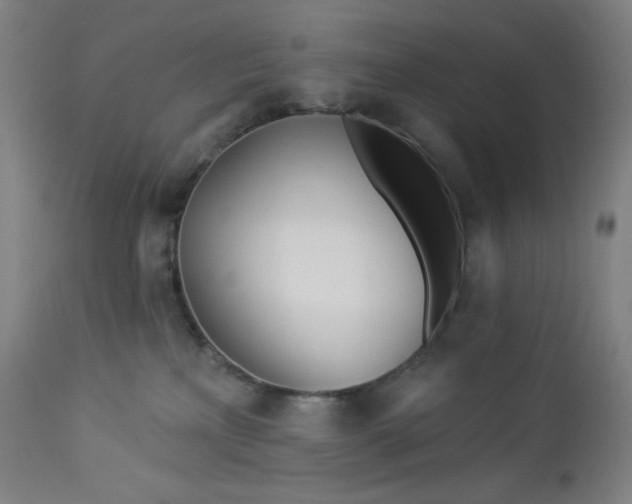 X0000112920233200909080941