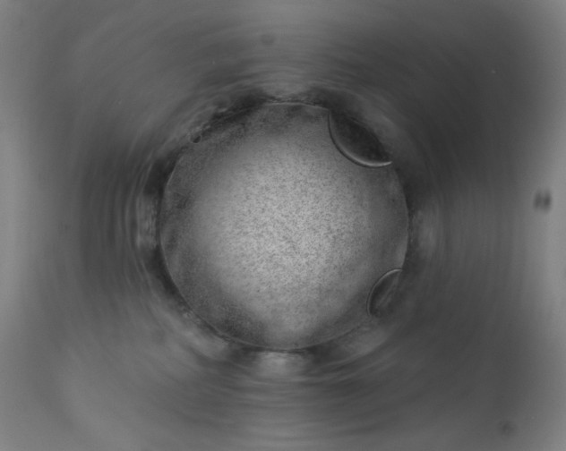 X0000112920234200909080941