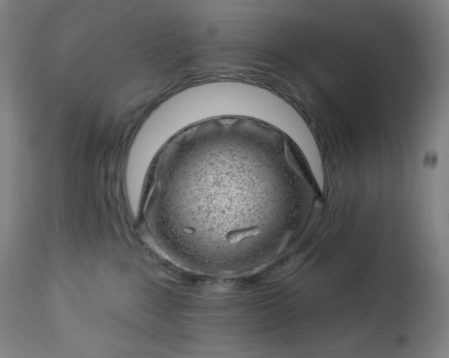 X0000112920235200909080941