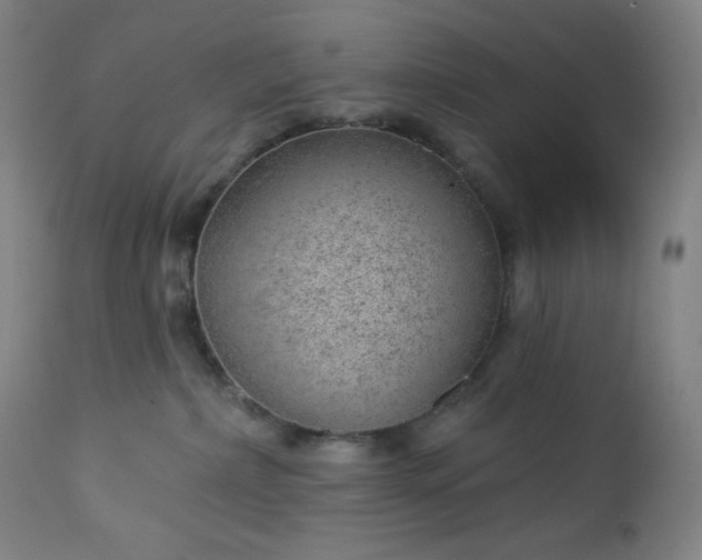 X0000112920236200909080941